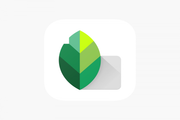 Snapseed: Editor de fotografía para el celular